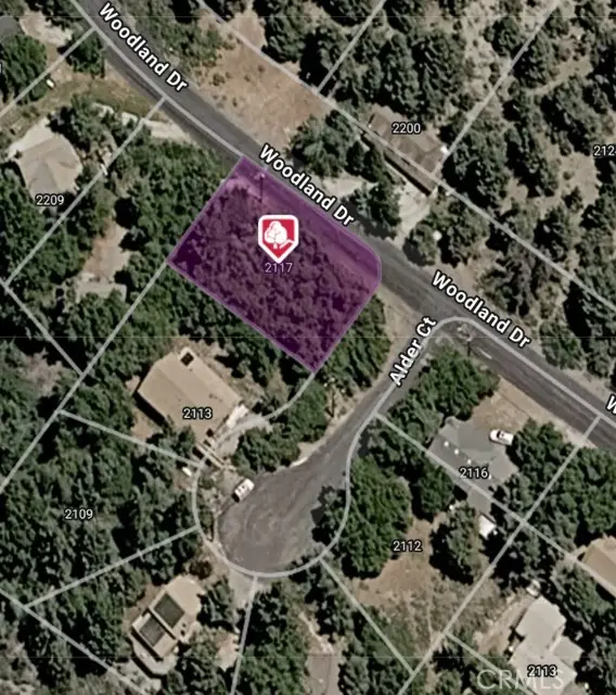 2117 Alder Court, Pine Mountain Club, CA 93222 - #1