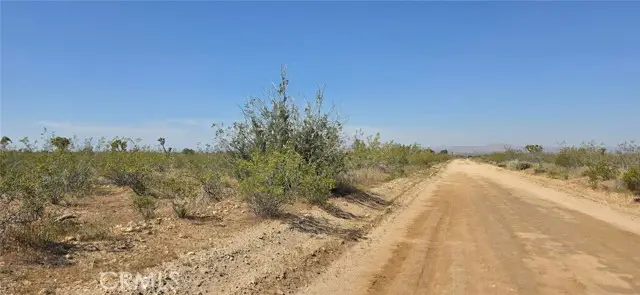 0 173rd E W-12, Llano, CA 93544 - #2