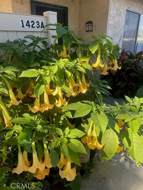 1423 San Bernardino  #A, Covina, CA 91722 - #2