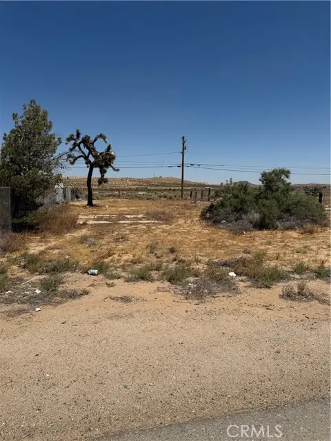 26081 20 Mule Team, Boron, CA 93516 - #3