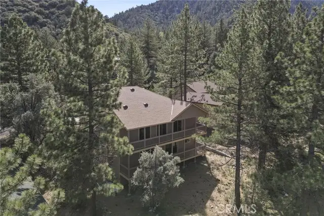 1813 Woodland Drive, Pine Mountain Club, CA 93222 - #1