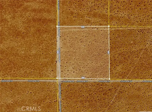 0 Corner Castle Butte Rd/Joshua Blvd, North Edwards, CA 93523 - #1