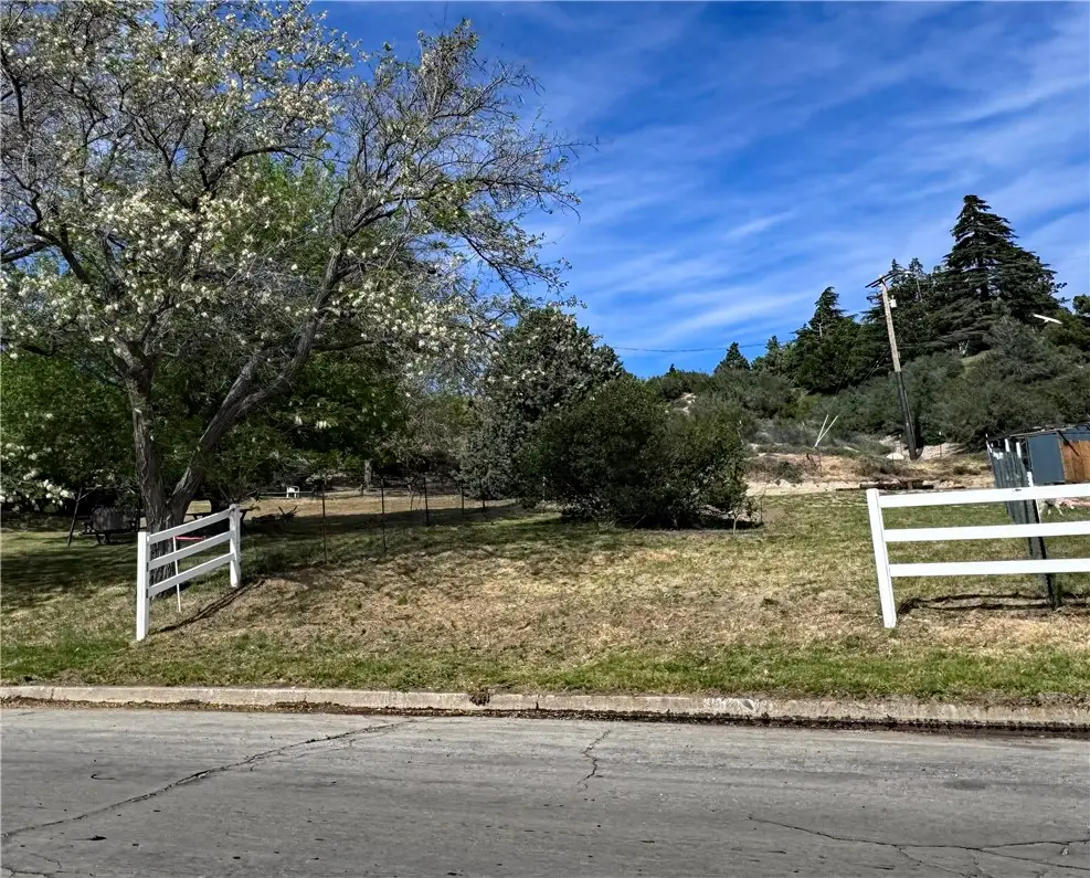 0 Ranch Club Rd & Kiptree Dr, Lake Hughes, CA 93532 - #1