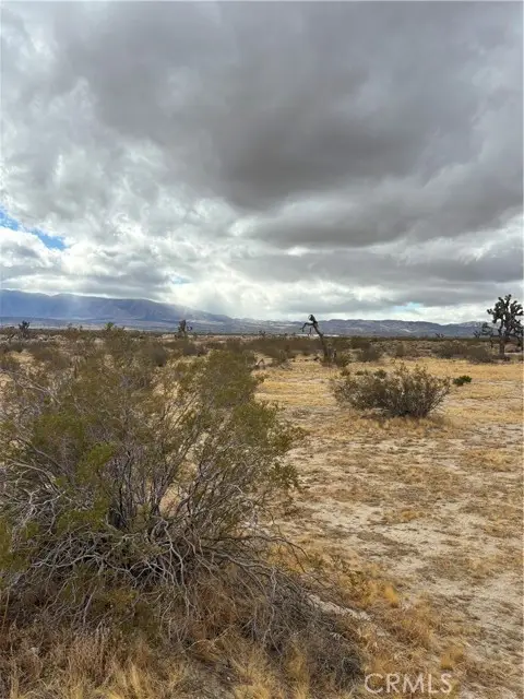 165 Avenue S, Palmdale, CA 93591 - #3