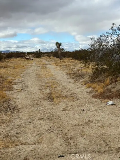 165 Avenue S8, Palmdale, CA 93591 - #2