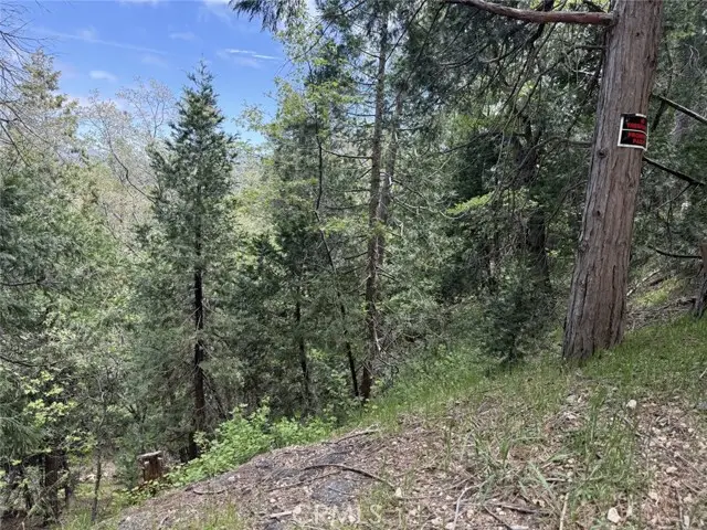 0 Alpine Court, Crestline, CA 92325 - #2