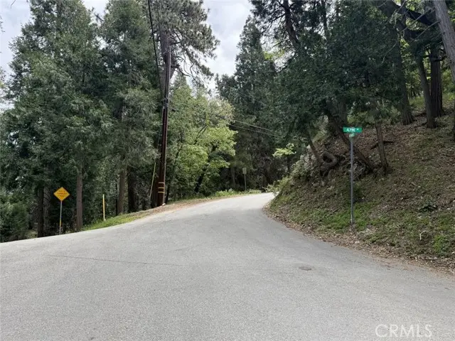 0 Alpine Court, Crestline, CA 92325 - #3
