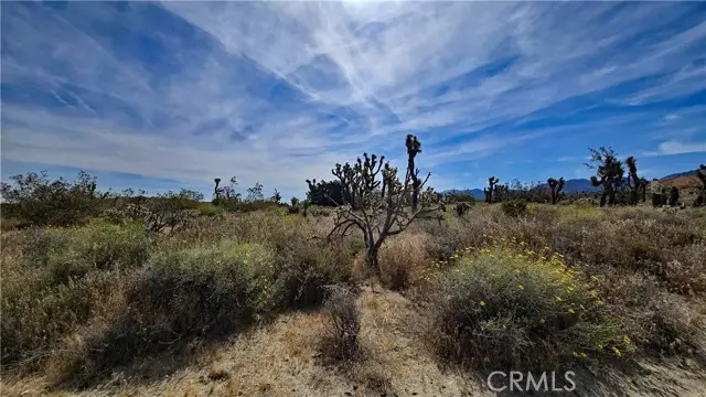 0 103rd St East vicinity W14, Littlerock, CA 93543 - #2