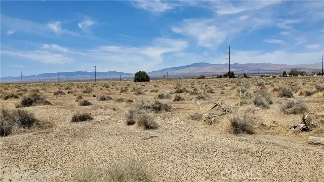 0 Dinkey Ave, Rosamond, CA 93560 - #3