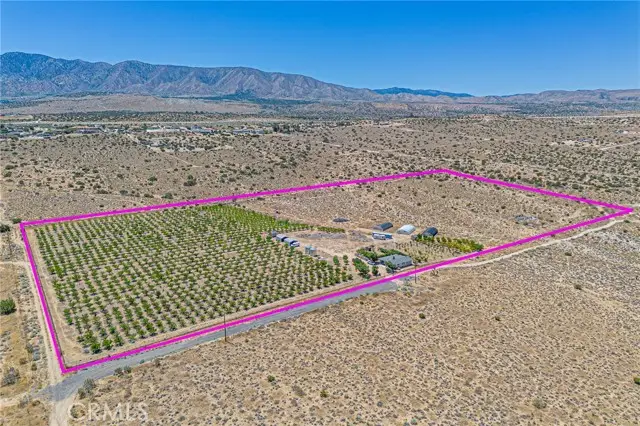 11126 Avenue W8, Pearblossom, CA 93553 - #2