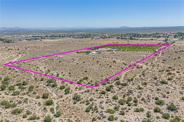 11126 Avenue W8, Pearblossom, CA 93553 - #3