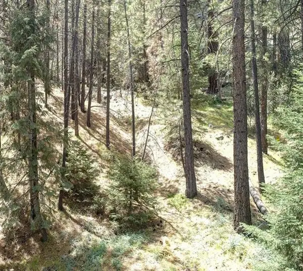 1316 Zermatt Court, PINE MOUNTAIN CLUB, CA 93222