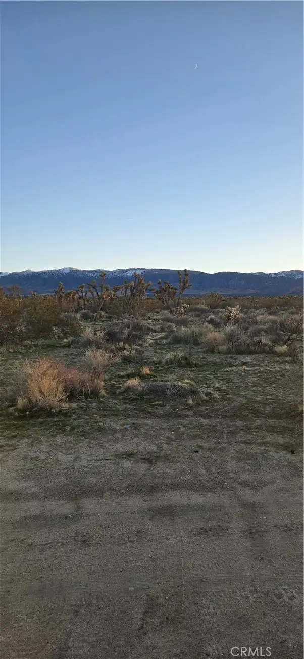 253 Vac/Vic, Palmdale, CA 93591 - #1