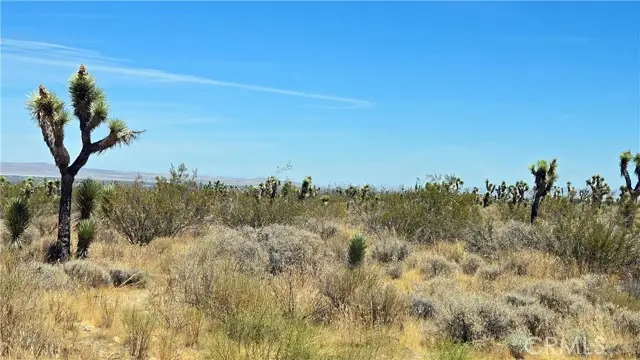 0 Vicinity Avenue X4 & 231st E, Llano, CA 93544 - #1