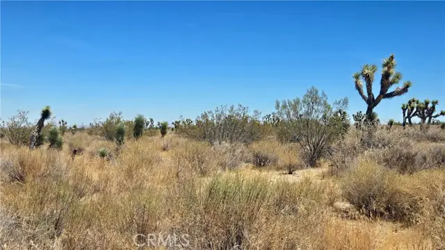 0 Vicinity Avenue X4 & 231st E, Llano, CA 93544 - #2