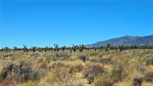 0 Vicinity Avenue X4 & 231st E, Llano, CA 93544 - #3