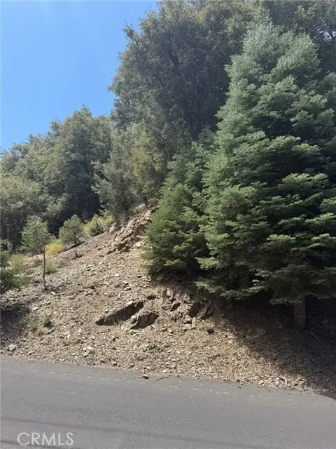 1313 Bernina, Pine Mountain Club, CA 93222 - #3
