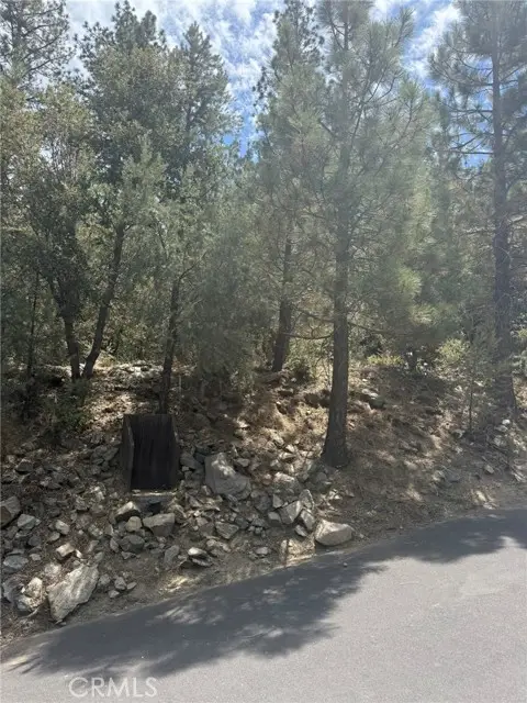16012 Zurich Way, Pine Mountain Club, CA 93222 - #1