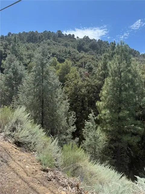 1824 Pioneer Way, Pine Mountain Club, CA 93222 - #2