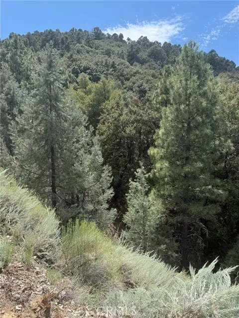 1824 Pioneer Way, Pine Mountain Club, CA 93222 - #3