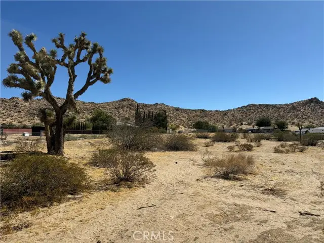 39552 163rd Street, Palmdale, CA 93591 - #2