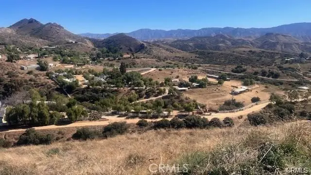 32600 Willow Lane, Santa Clarita, CA 91390 - #2