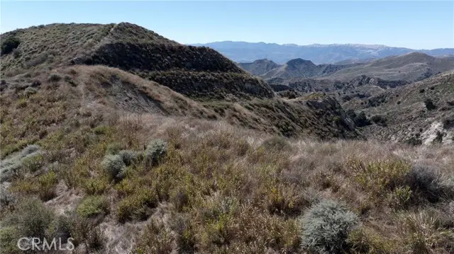 1 Burlwood Dr, Castaic, CA 91384 - #3