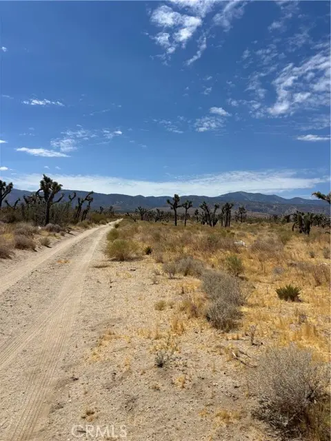 0 235, Palmdale, CA 93591 - #3