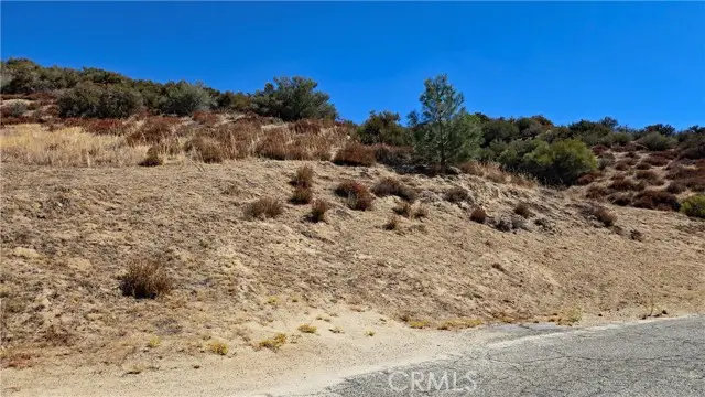 0 Sunnydale Dr vicinity Peekaboo, Lake Hughes, CA 93532 - #1