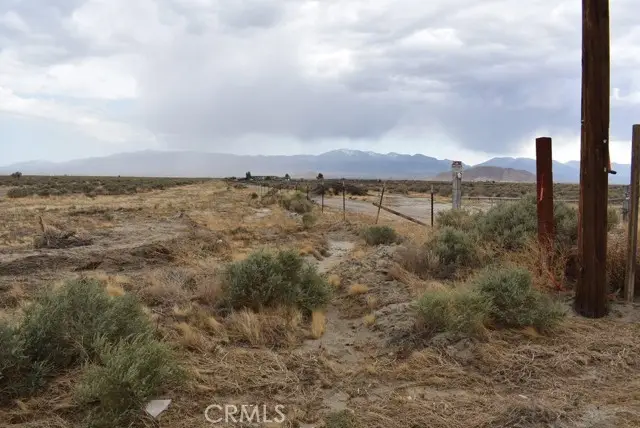 24500 Avenue P, Palmdale, CA 93591 - #3
