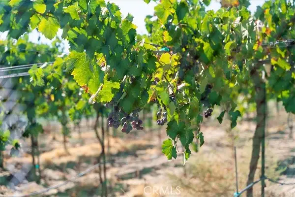 43900 Highway 79, Aguanga, CA 92536