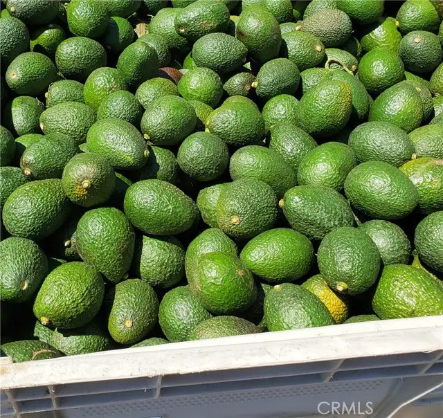 43520 Calle Colina, Temecula, CA 92590 - #1