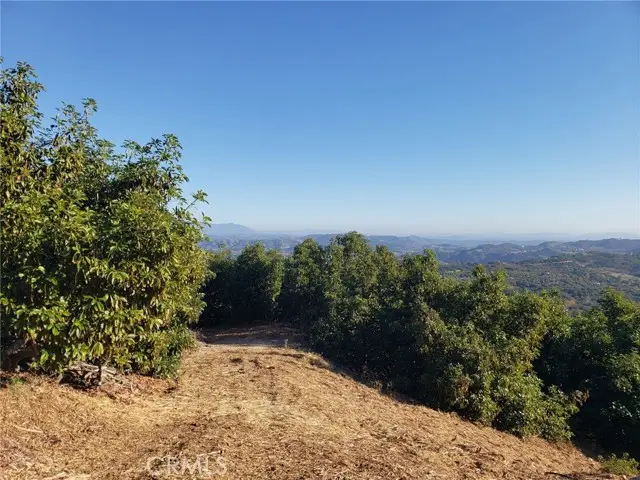 43520 Calle Colina, Temecula, CA 92590 - #3