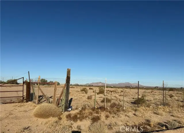 33966 Harvard Road, Newberry Springs, CA 92365 - #2
