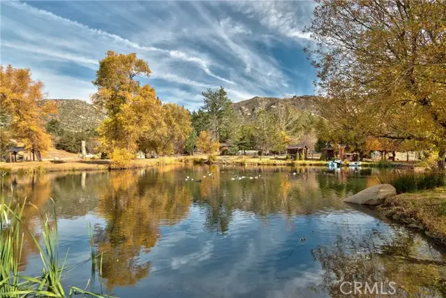 58111 Bonita Vista Road, Mountain Center, CA 92561 - #2