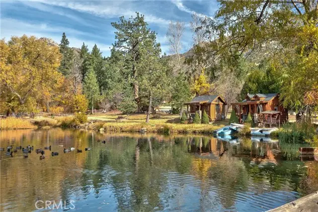 58111 Bonita Vista Road, Mountain Center, CA 92561 - #3