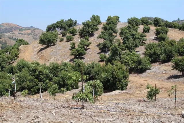 4 Via Vaquero Road, Temecula, CA 92590 - #2