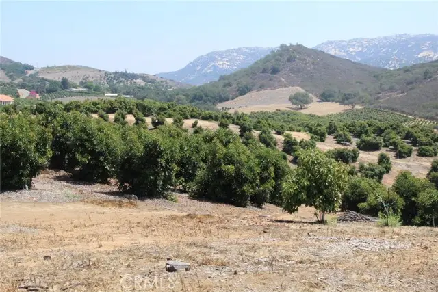 4 Via Vaquero Road, Temecula, CA 92590 - #3