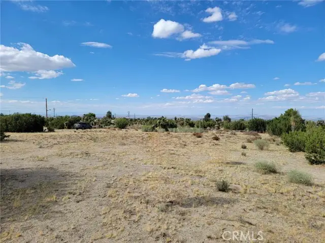 9855 Holiday Lane, Pinon Hills, CA 92372 - #1