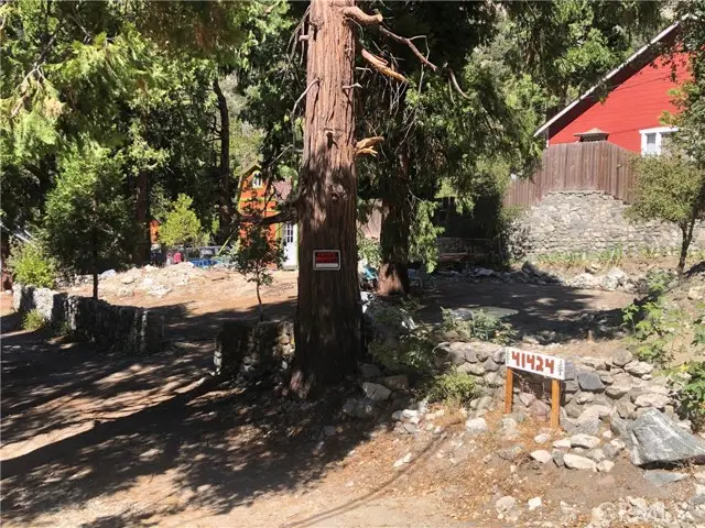 41424 Valley of the Falls Drive, Forest Falls, CA 92339 - #3