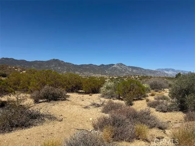 #3