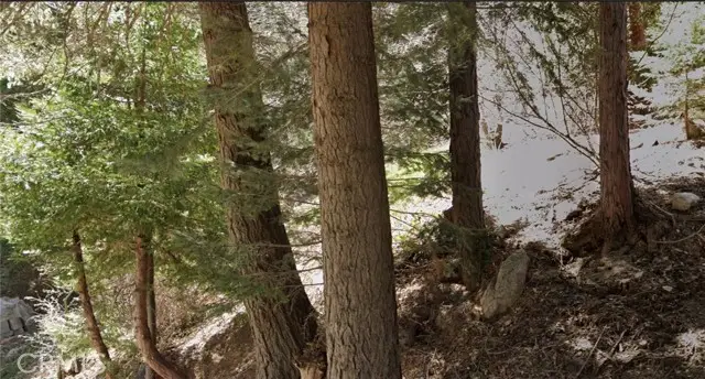 #1