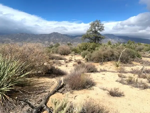 368 Palm Canyon Drive, Mountain Center, CA 92561