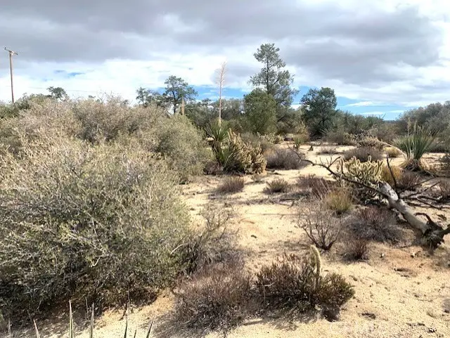 368 Palm Canyon Drive, Mountain Center, CA 92561 - #3