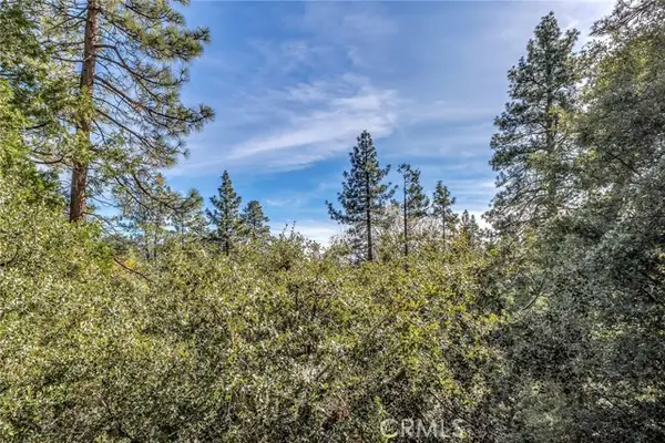 0 Jeffery Pine Rd., Idyllwild, CA 92549