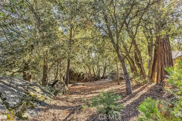 0 Jeffery Pine Rd., Idyllwild, CA 92549 - #2