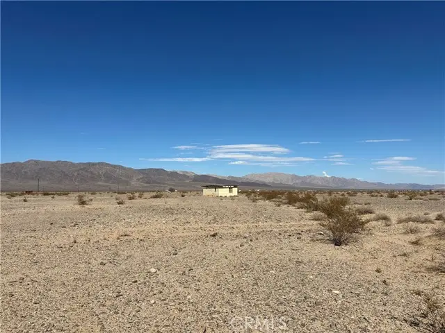 1 Screech Owl, Twentynine Palms, CA 92277 - Image #2