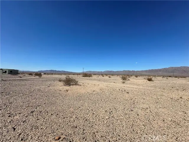 1 Screech Owl, Twentynine Palms, CA 92277 - Image #3