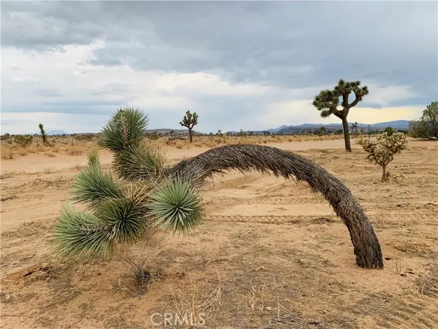 58040 Junipero, Yucca Valley, CA 92284 - Image #1