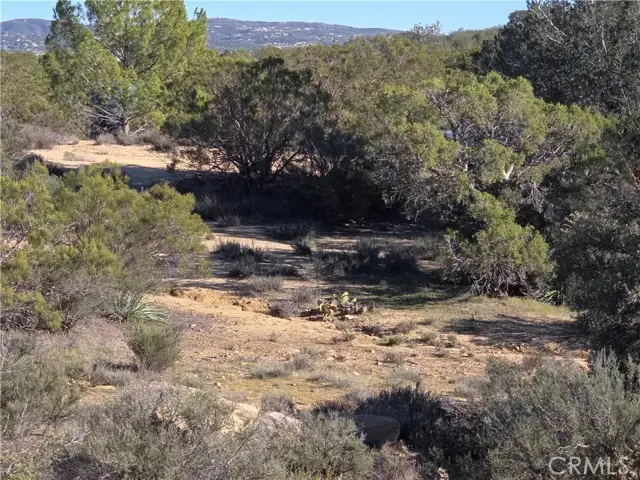 56660 Knollwood, Anza, CA 92539 - #1